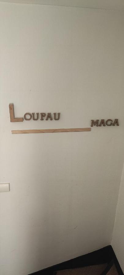 Bagnères-de-Luchon Lodge Loupau Maga מראה חיצוני תמונה